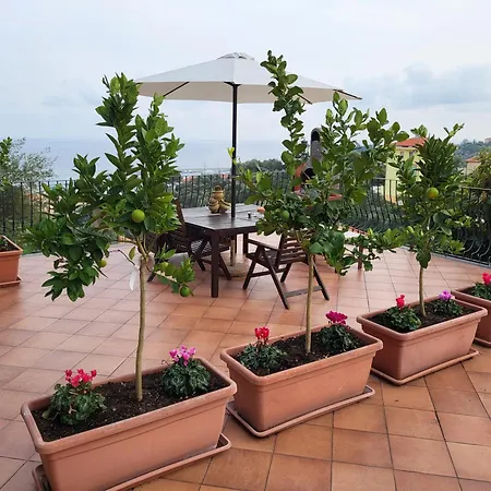 아파트 Terrazza Degli Agrumi *