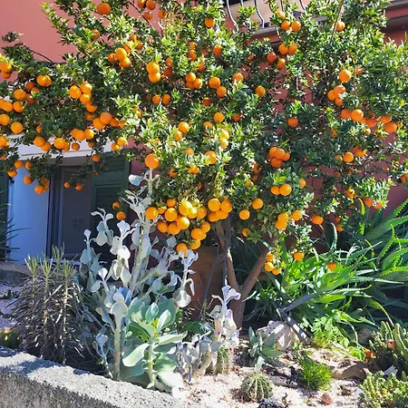 Terrazza Degli Agrumi *