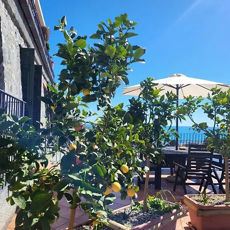 Terrazza Degli Agrumi *