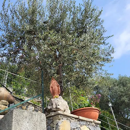Terrazza Degli Agrumi 아파트