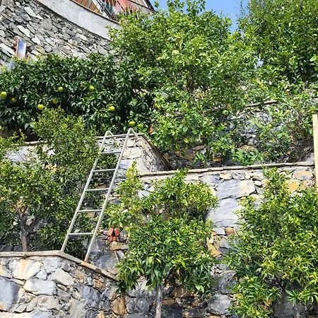 아파트 Terrazza Degli Agrumi *